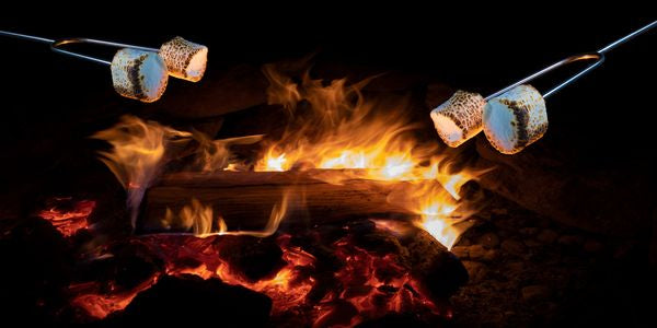 50 S’mores Experiences